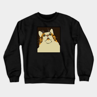 Panicked Cat Meme Crewneck Sweatshirt